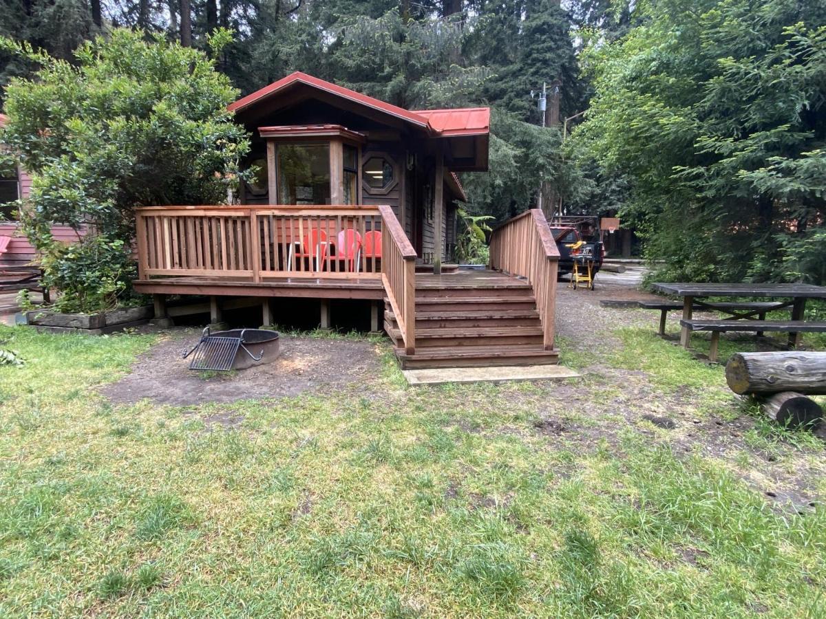 Big Sur Campground And Cabins Екстериор снимка