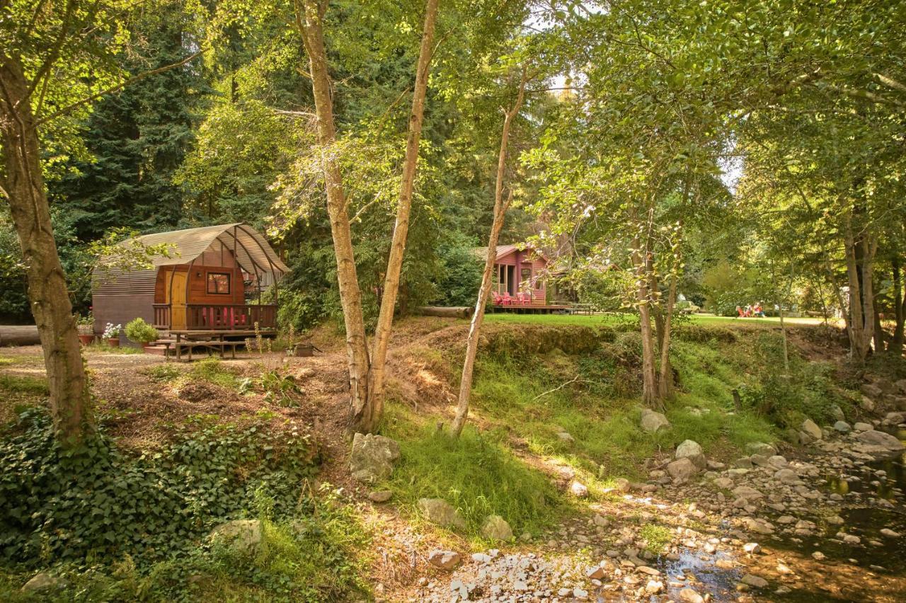 Big Sur Campground And Cabins Екстериор снимка