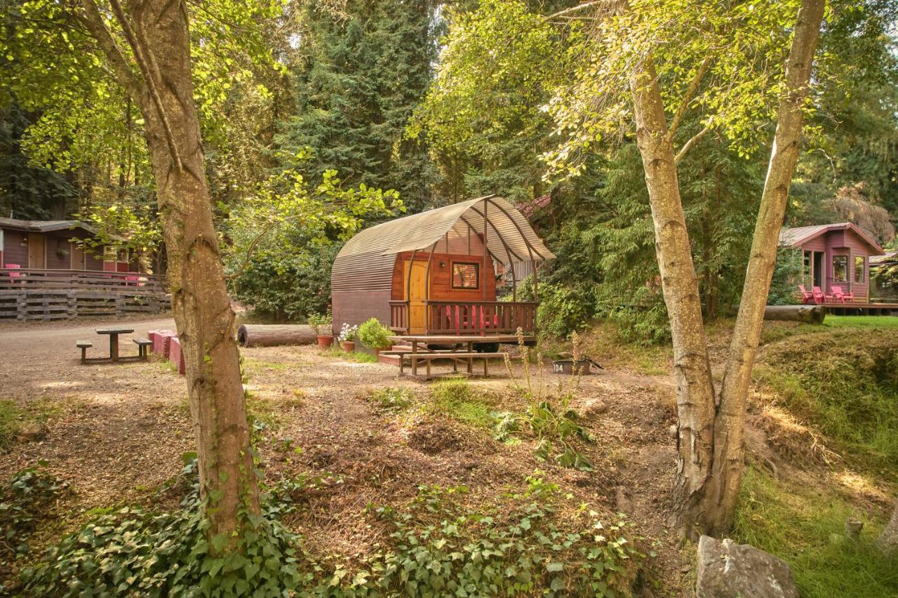 Big Sur Campground And Cabins Екстериор снимка