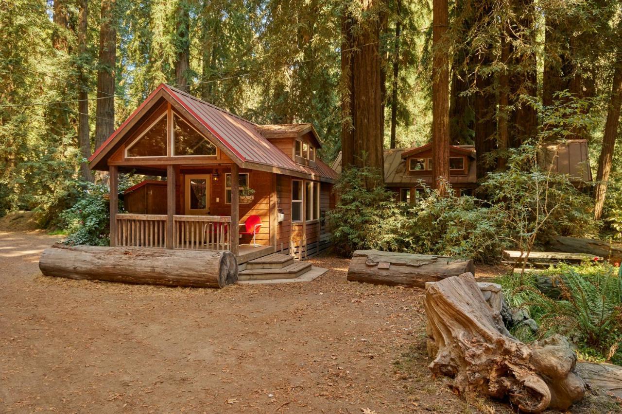 Big Sur Campground And Cabins Екстериор снимка
