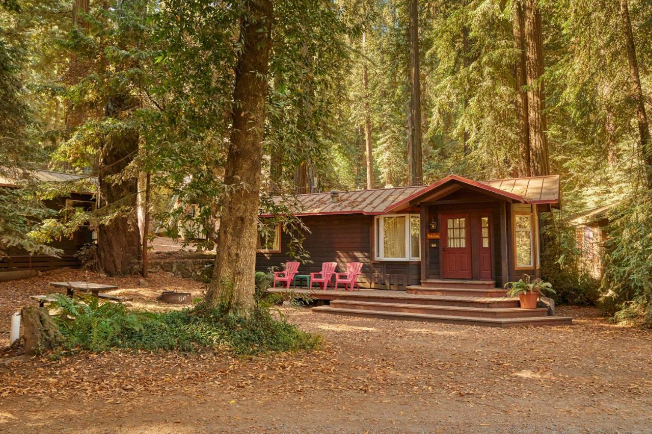 Big Sur Campground And Cabins Екстериор снимка